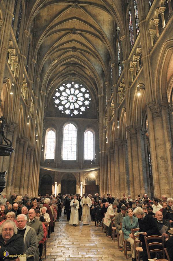 Nom de l'image : D30050316_1_1_(c)Norbert-JUNG — Description :